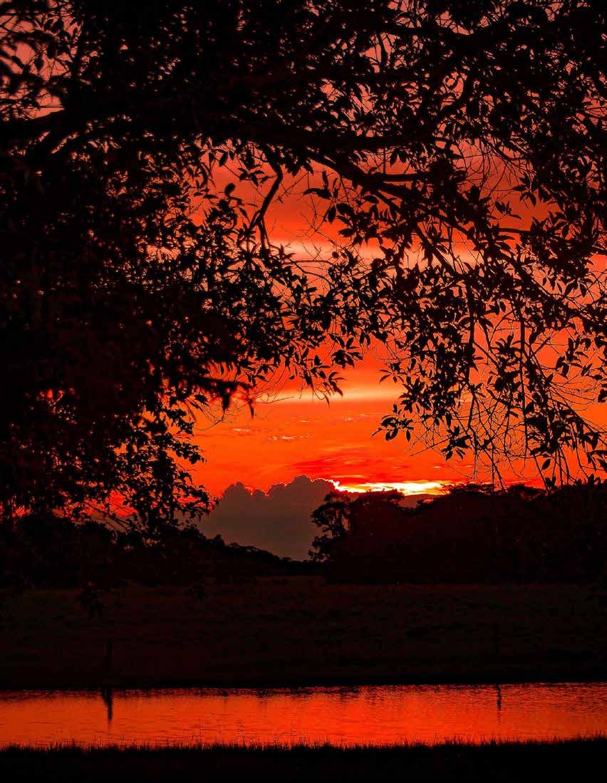 Atardecer sobre el Manacacías