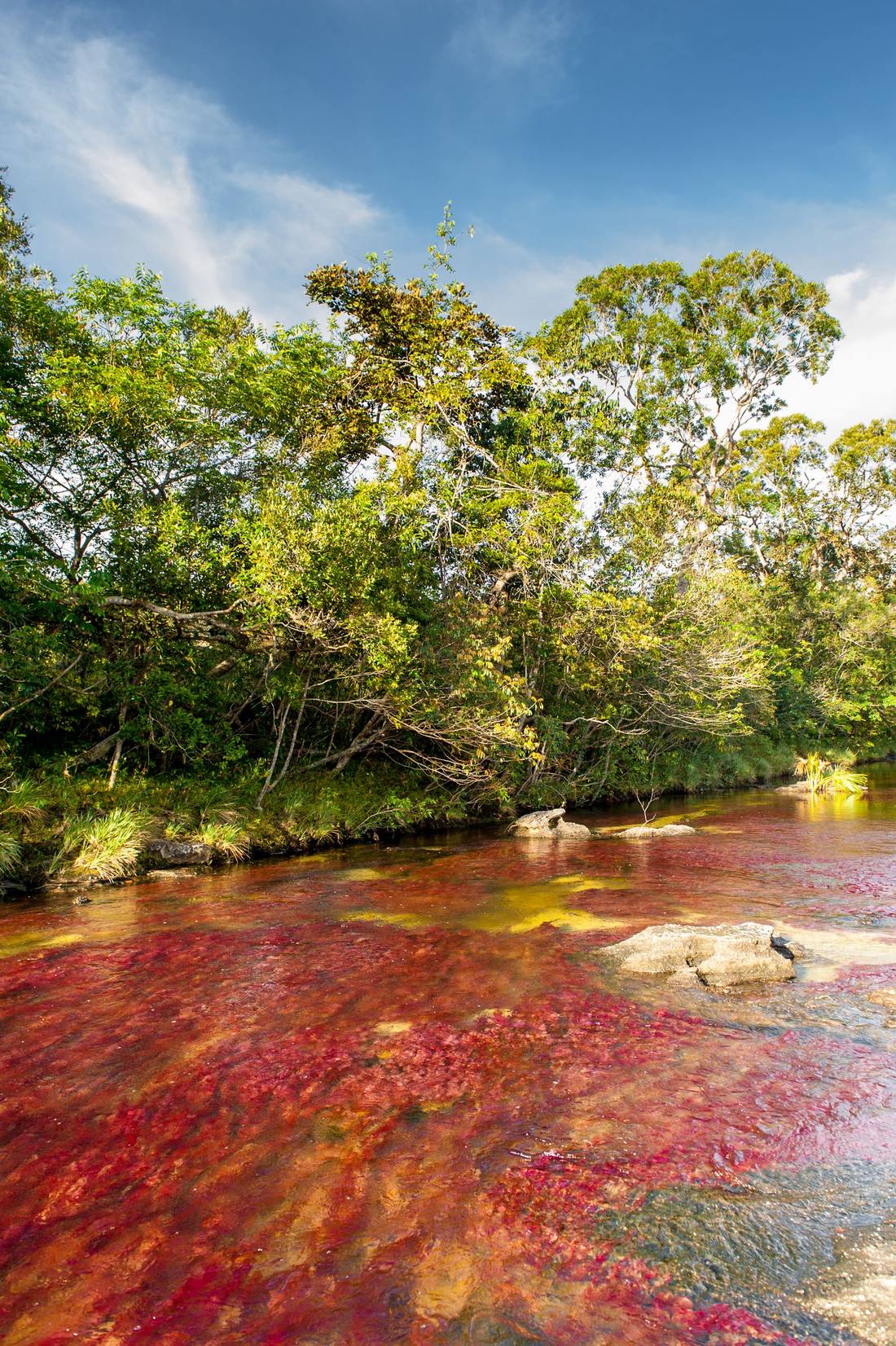 Caño Cristales, La Macarena